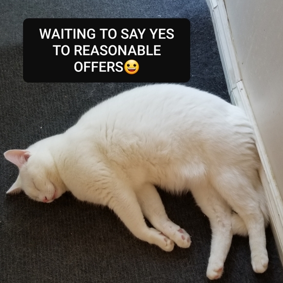 Meet your Posher, Sunshine - Picture 1 of 9